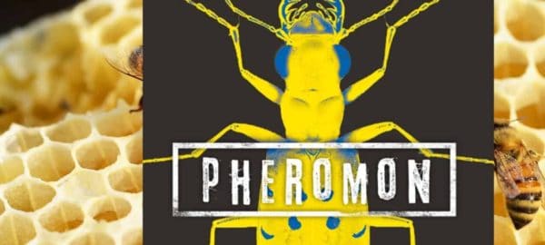 "Sie sehen dich - Pheromon 2" (Rezension) | SCHREIBBLOGG 2026 Pheromon2Titelbild
